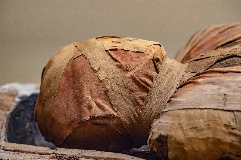 Detalle de momia egipcia envuelta en vendajes antiguos.