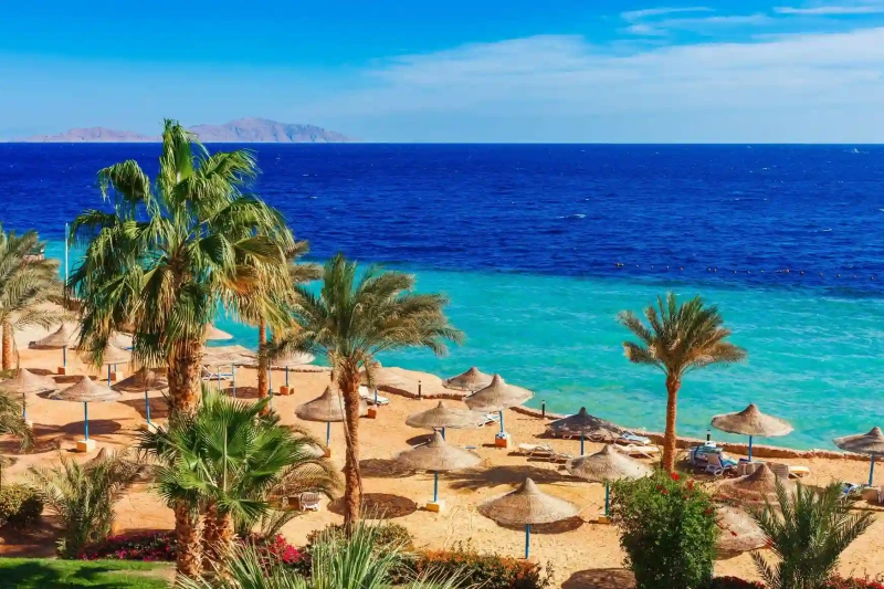 Egitto Marsa Alam