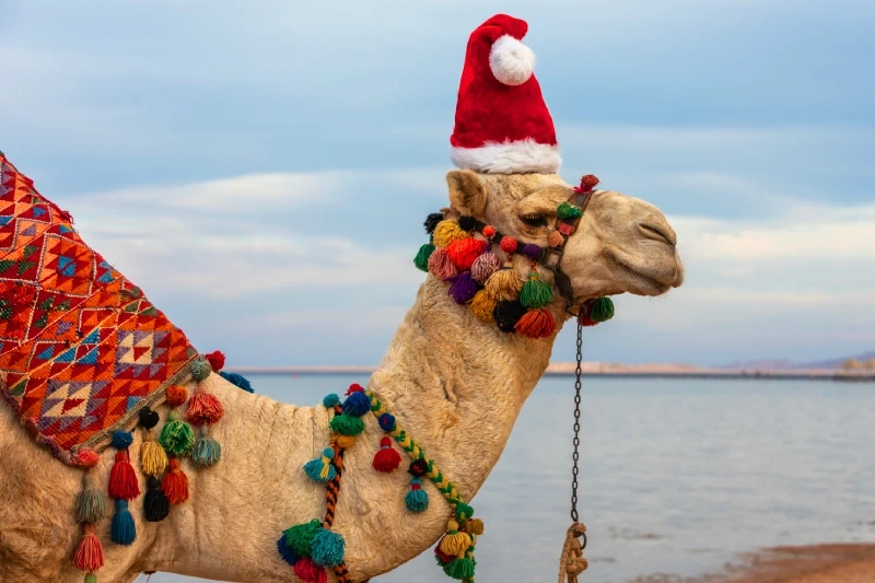 Tour Egitto a Natale | Capodanno in Egitto Offerte | Tour Egitto