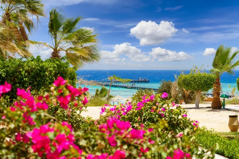 Vacanze di Natale in Egitto | Offerte Egitto Natale