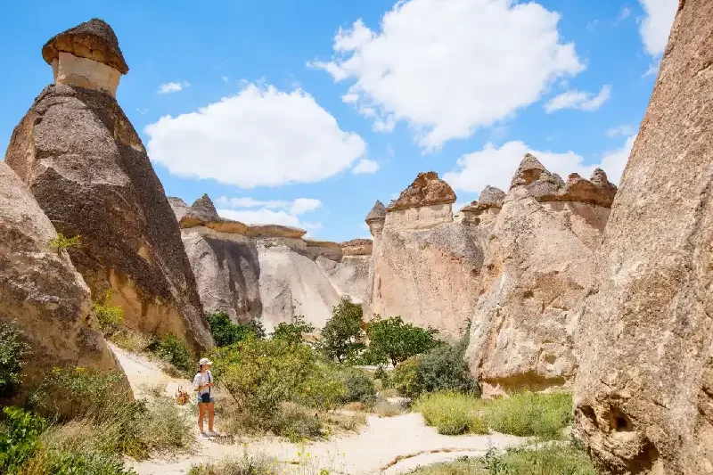 Valle di Pasabag di Cappadocia