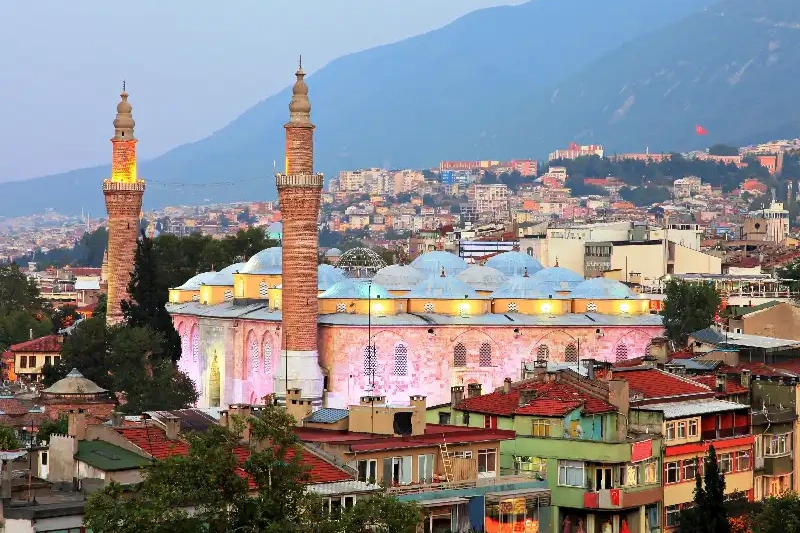 Bursa Moshea Grande