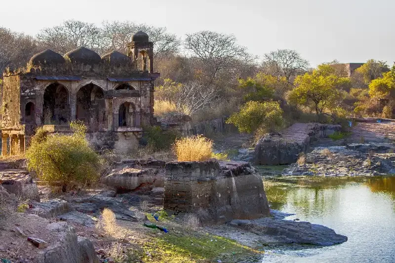 Ranthambore Forte , Tour India