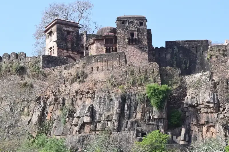 Ranthambore Forte, Tour India