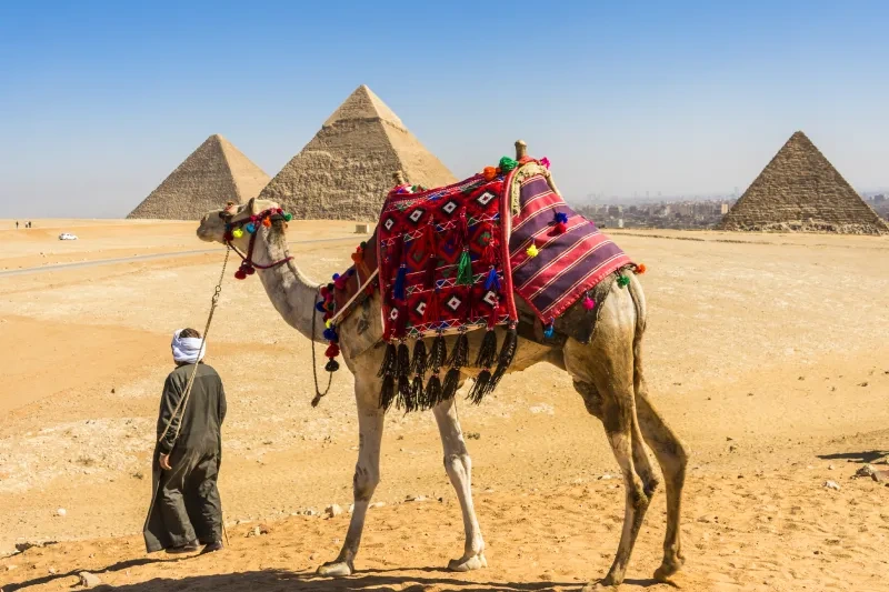 Viaggio Egitto Piramidi e Mare