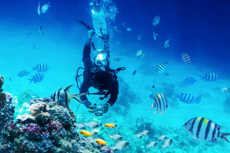 Crociera sul Nilo e Sharm El Sheikh
