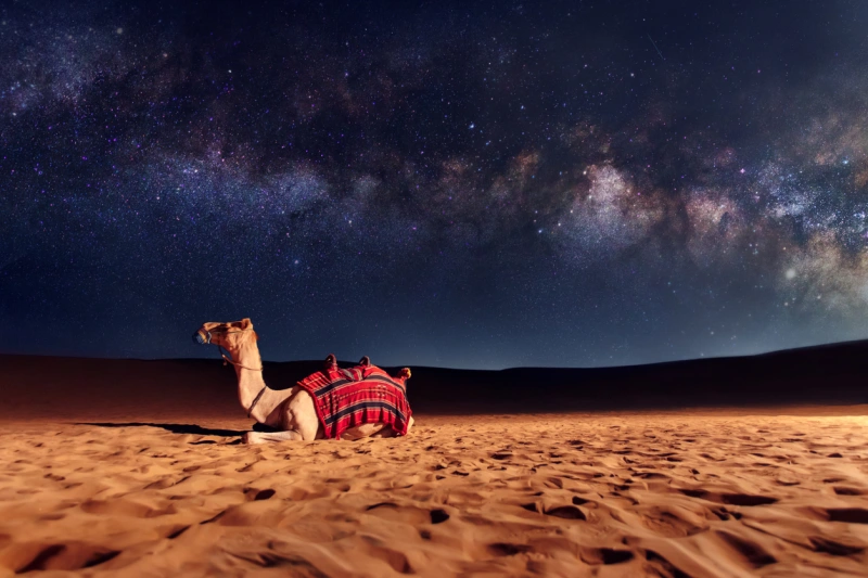 Dubai Desert 