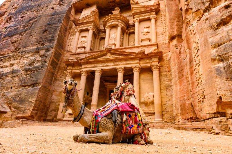 Espectacular vista de dos hermosos camellos frente al Khazneh en Petra