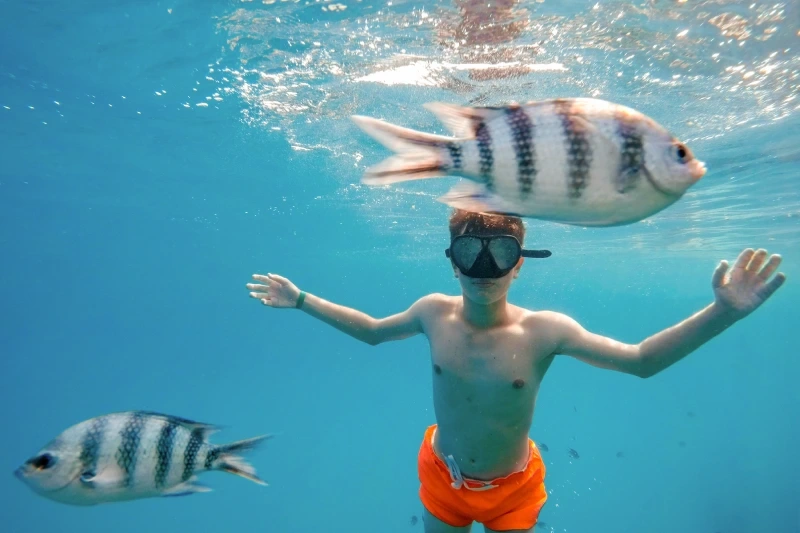 Snorkeling Orange Bay