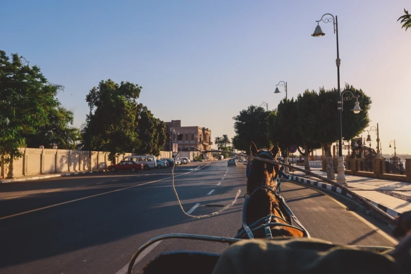 luxor city tour