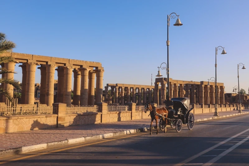 luxor city tour