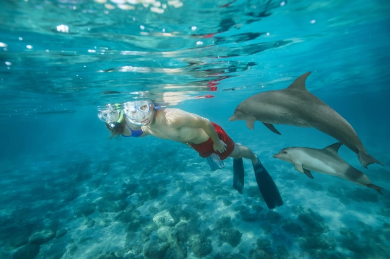 Escursione Dolphin House Marsa Alam