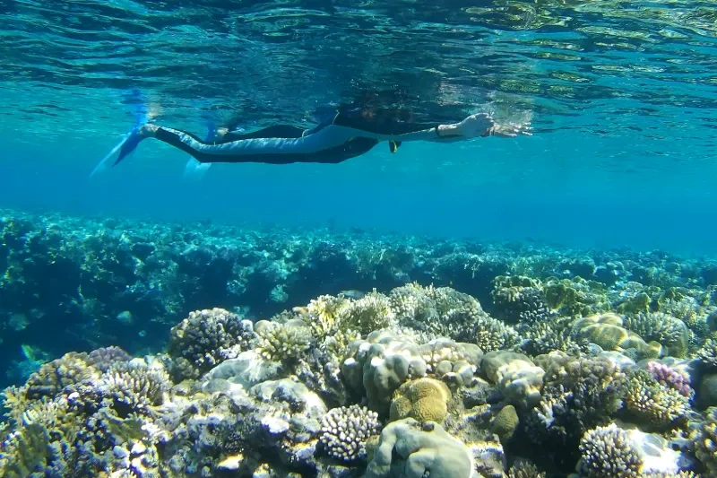 escursione isole Hamata