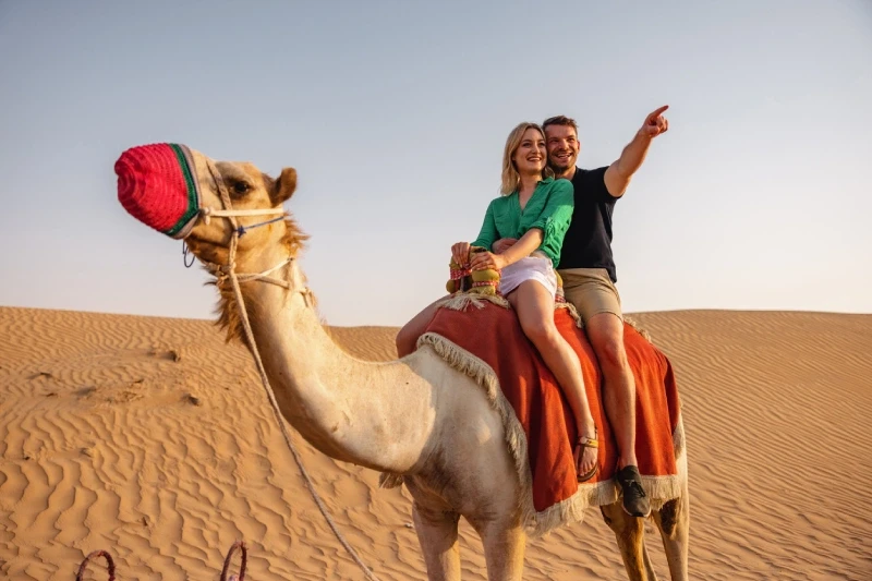 The Best of India, Dubai and Thailand