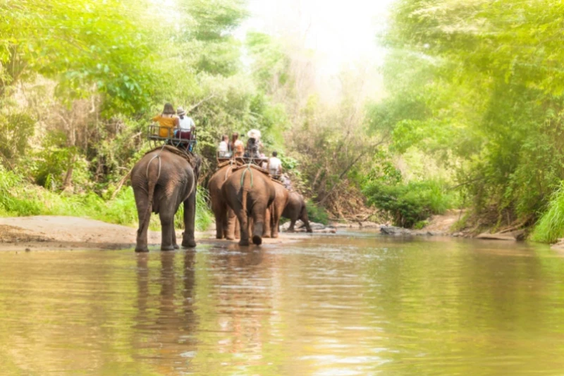 India, Dubai and Thailand travel package