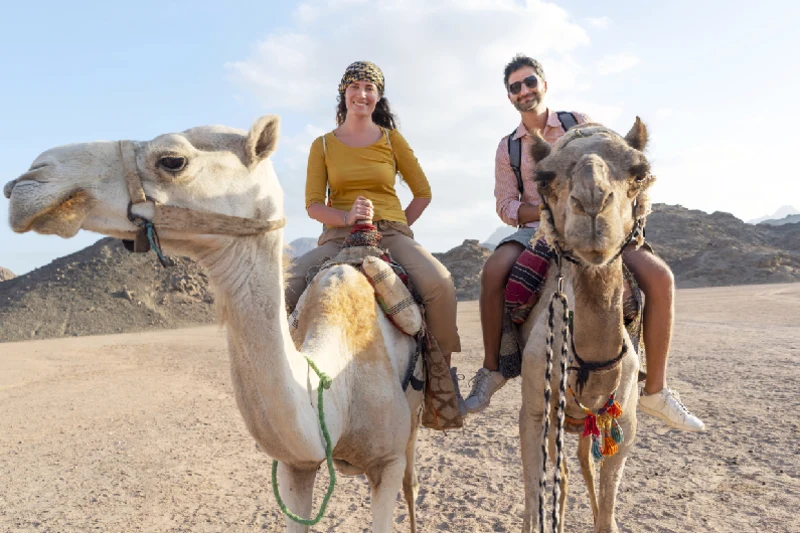 Red Sea and Cairo Vacation Tour