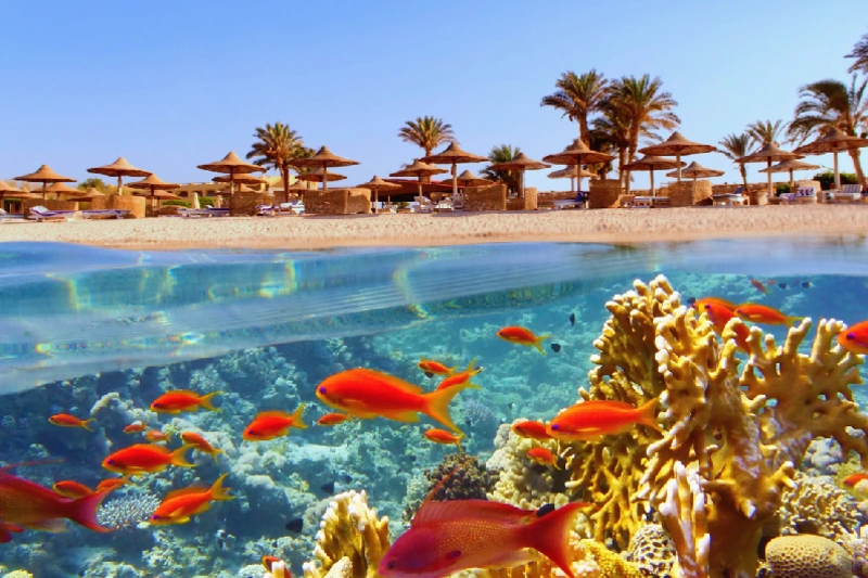 pyramids-nile-cruise-sharm-el-sheikh