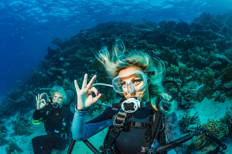 bucear entre corales en aguas cristalinas del Mar Rojo