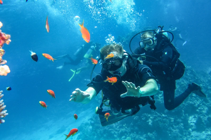 Entrenamiento de buceo. 
