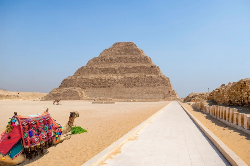 A peaceful camel lying before the historic Djoser Pyramid, Saqqara.