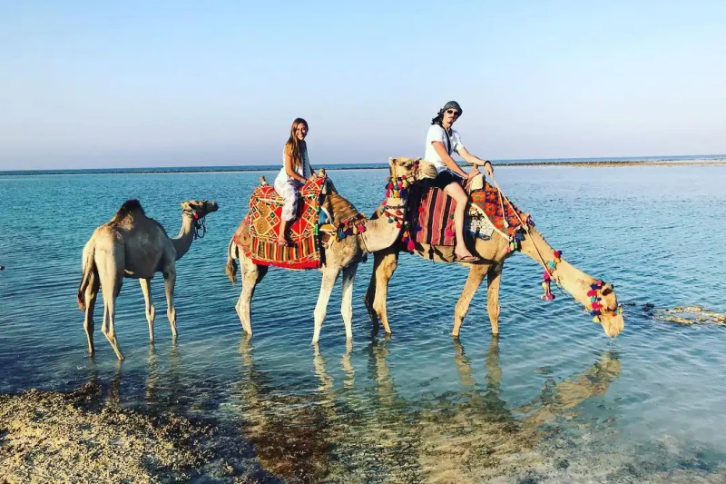 una coppia su due cammelli nel mare