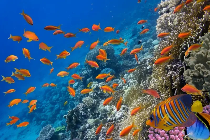 marsa alam egitto