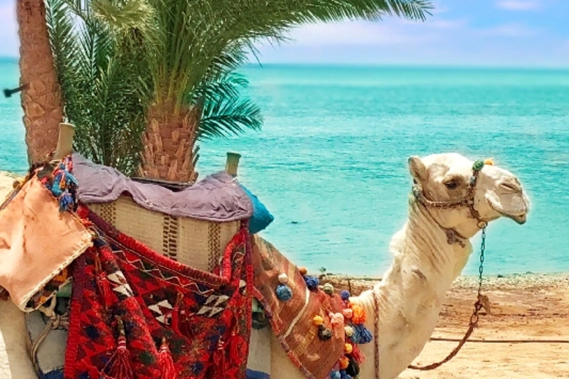 Meteo Marsa Alam | Clima Marsa Alam