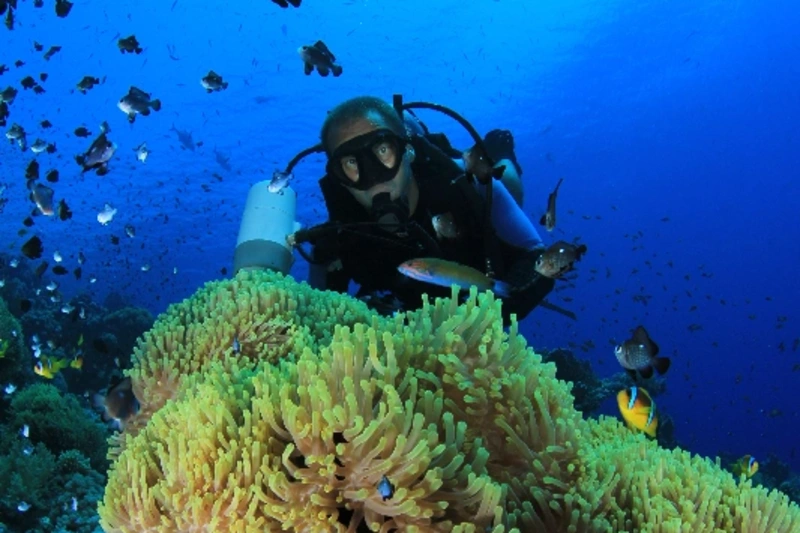 Marsa Alam Egitto | Marsa Alam cosa vedere