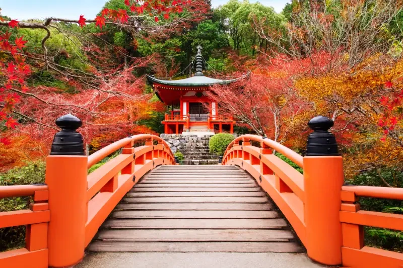 Kyoto Giappone | Kyoto Giapponese | Viaggi da Sogni Kyoto Giappone | Kyoto Giapponese | Viaggi da Sogni