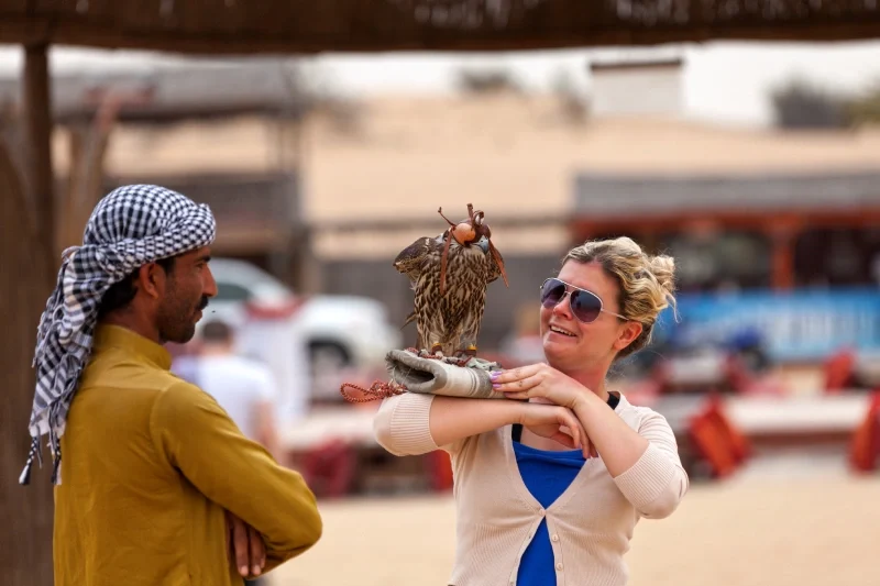 Deserto di Dubai | Dubai Deserto | Il Deserto di Dubai