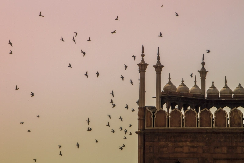 Jama Masjid in India Jama Masjid in India