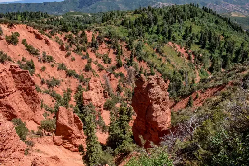 Monte Nebo Giordania