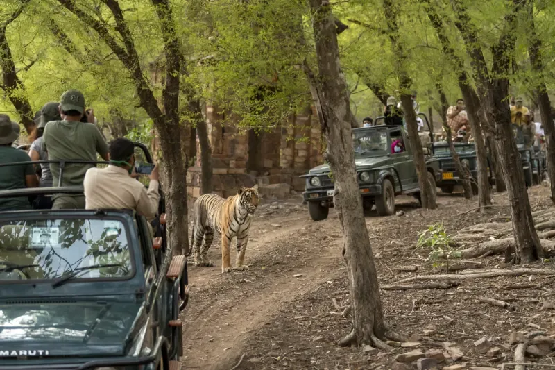 Parco Nazionale di Ranthambore