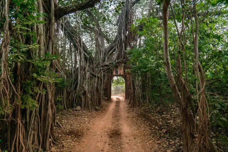 Parco Nazionale di Ranthambore