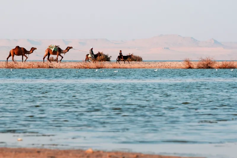 Qarun nel Fayyum, Al Fayyum