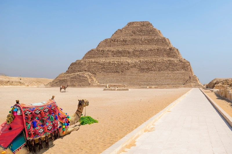 Camello en la pirámide escalonada de Saqqara