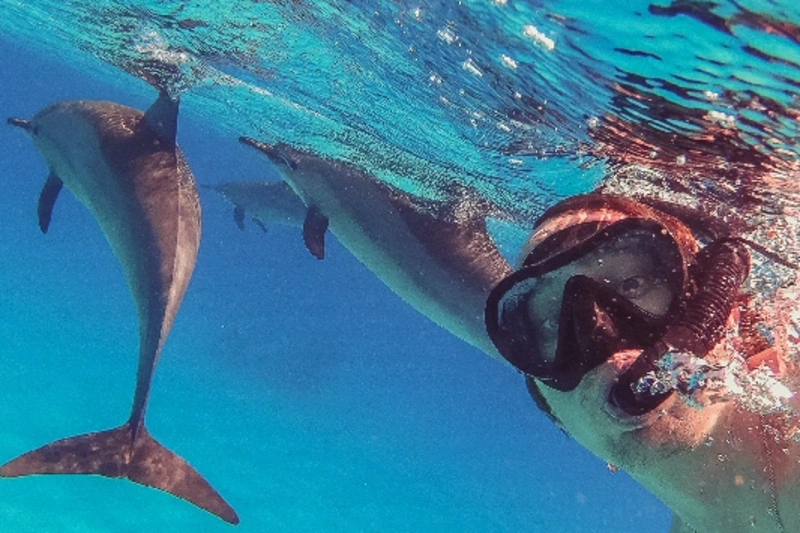 hurghada egitto, cose da fare a hurghada