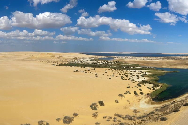 sahara oasis en Fayum