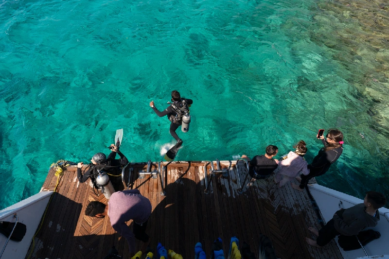 el buceo y el snorkel en Dahab