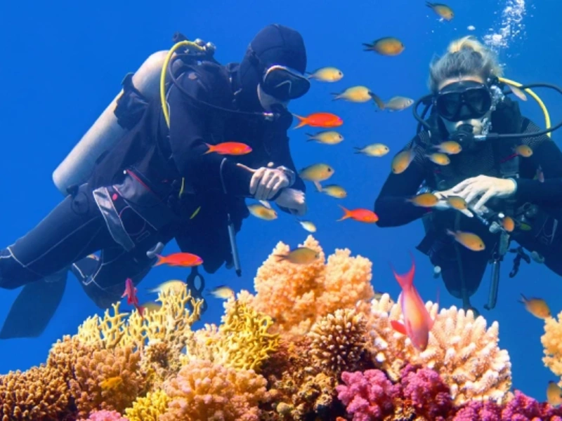 Plongeurs au milieu des coraux et poissons colorés de la mer Rouge en Égypte