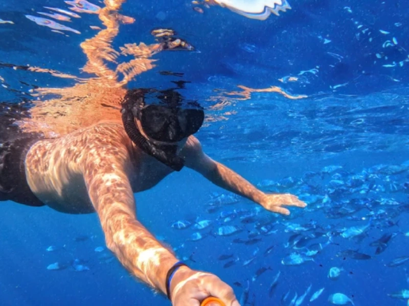 Plongeur en snorkeling au-dessus des poissons dans les eaux claires de la mer Rouge