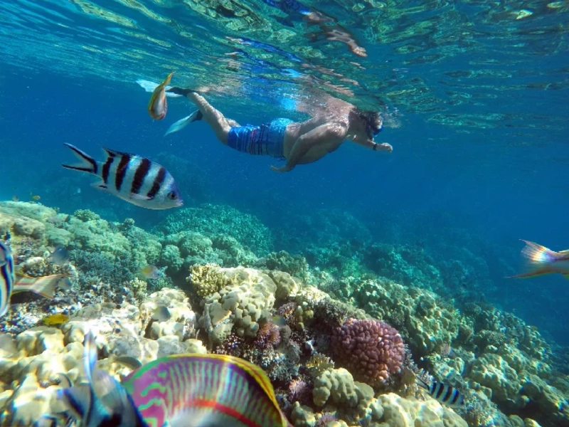 Egipto Completo y El Mar Rojo — Tour 10 Días
