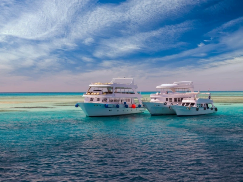 Ras Mohammed