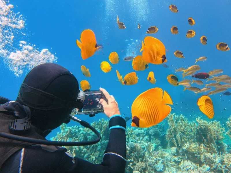 crociera sul nilo e marsa alam