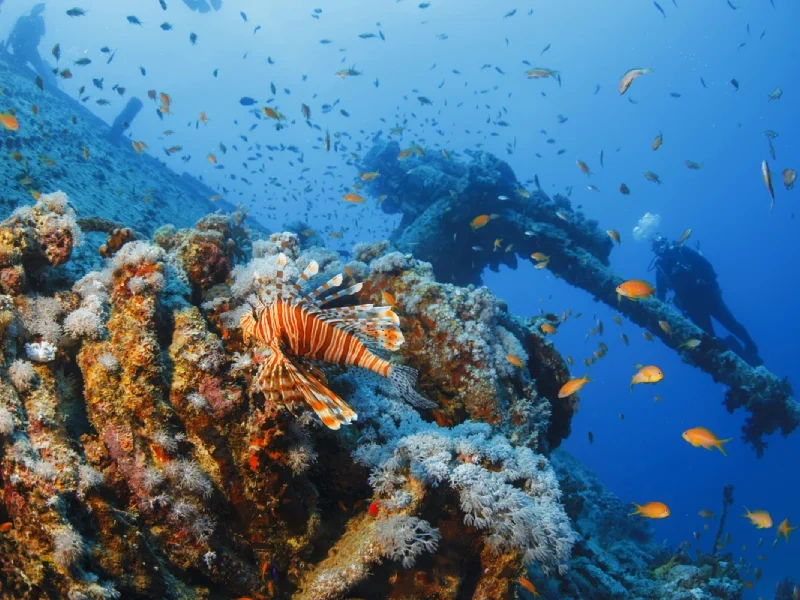voyage en egypte budget