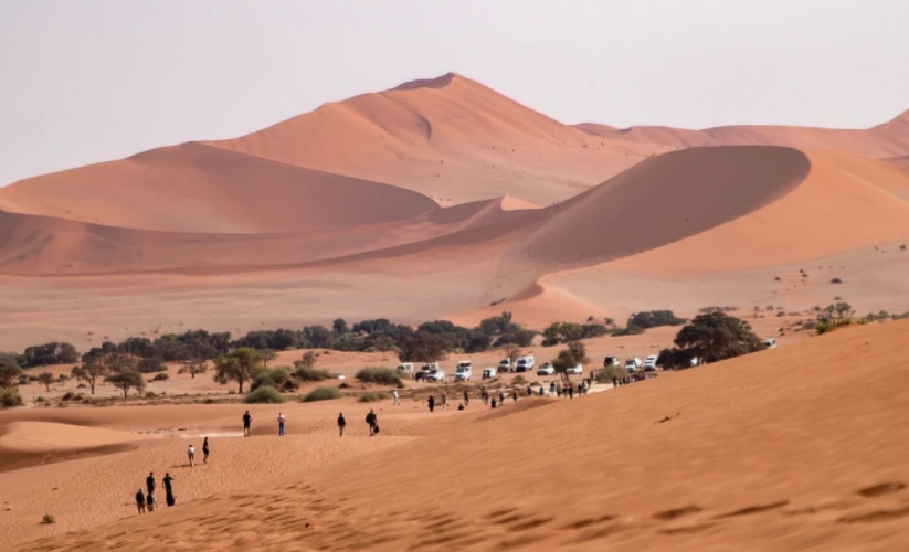 Viaggio Organizzato Giordania  