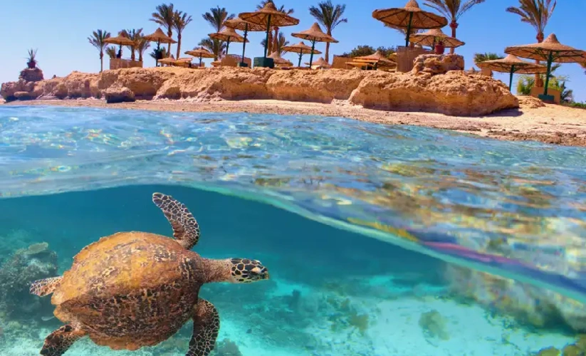 Vacanza Egitto Agosto: Cairo, Nilo e Marsa Alam