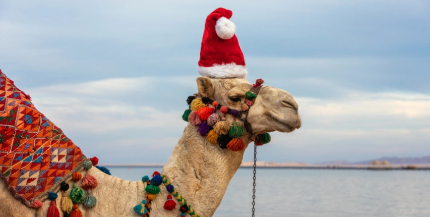 Silvester in ägypten