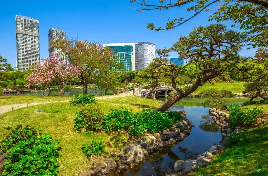 Giardini Hamarikyu, Giappone viaggio di gruppo