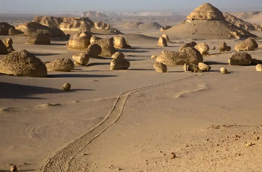 Wadi Hitan , Viaggio Deserto Egitto